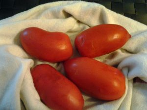 3 lava pomodori